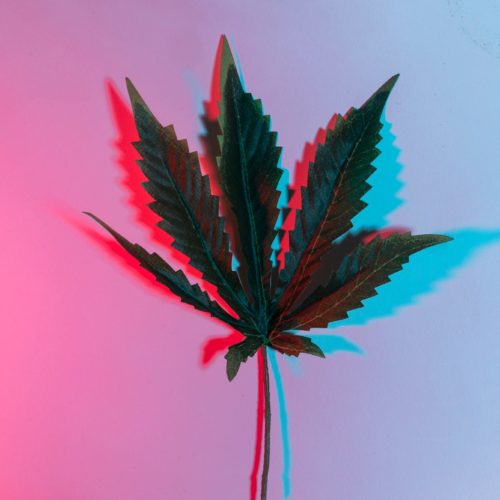 4+20 Songs for 4/20
